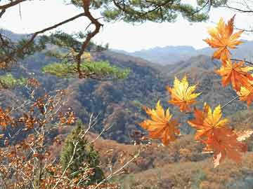 居家风水学：3.居家布局总论 